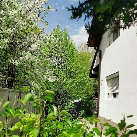 塔古玖 菲力德博维斯特旅馆酒店 外观 照片